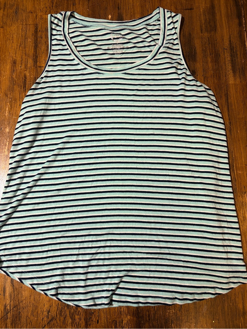Striped Scoop Neck Tank Top in Mint and Black